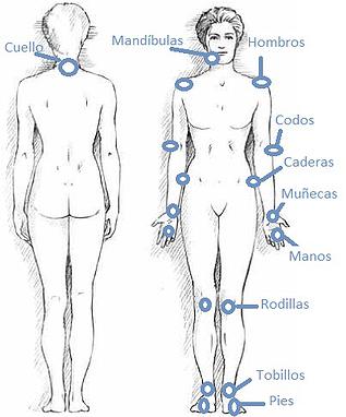 que es la artritis reumatoide articulaciones comprometidas