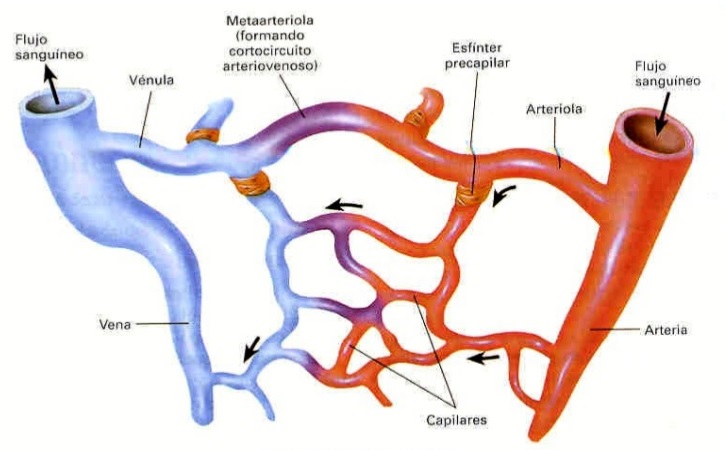 fibromialgia todo lo que sabemos hasta ahora 02